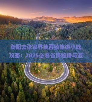 衡阳去张家界芙蓉镇旅游小吃