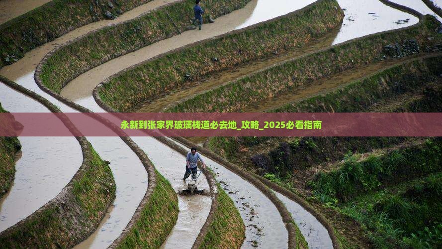 永新到张家界玻璃栈道必去地