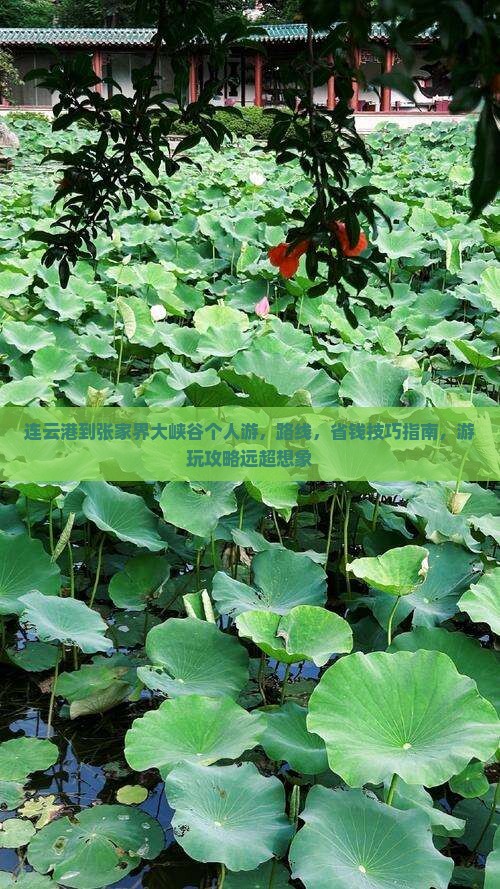 连云港到张家界大峡谷个人游