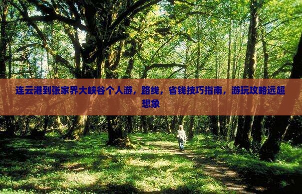 连云港到张家界大峡谷个人游