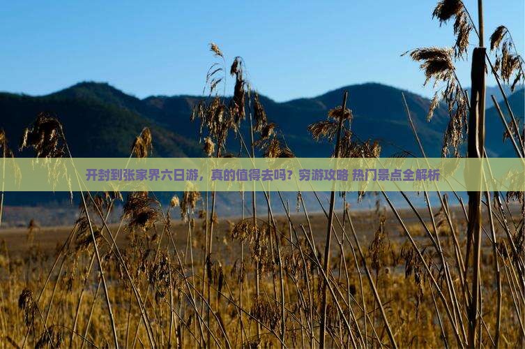 开封到张家界六日游