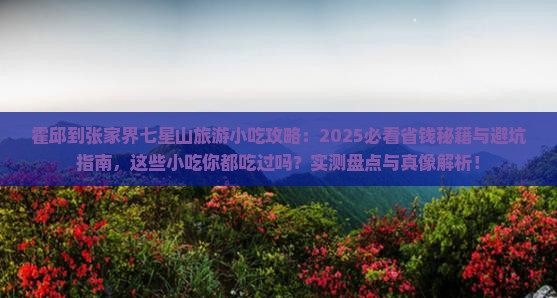 霍邱到张家界七星山旅游小吃
