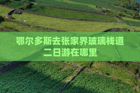 鄂尔多斯去张家界玻璃栈道二日游
