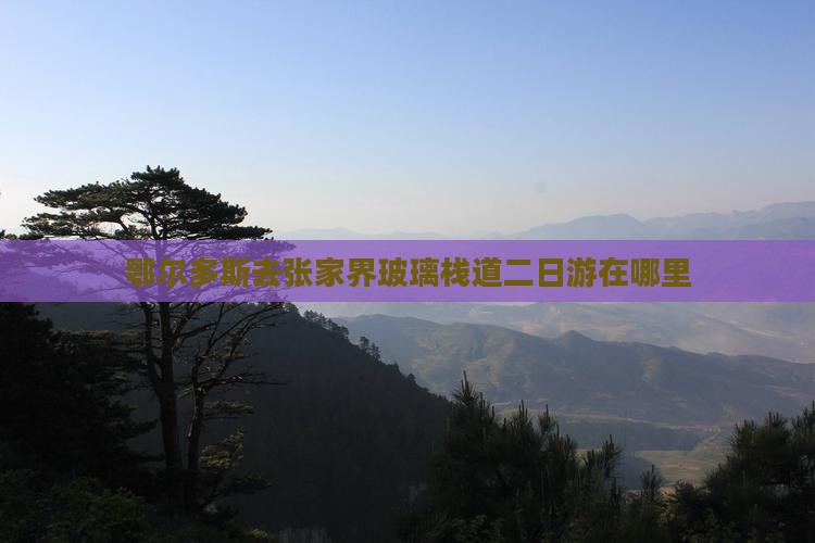 鄂尔多斯去张家界玻璃栈道二日游