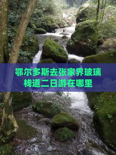 鄂尔多斯去张家界玻璃栈道二日游
