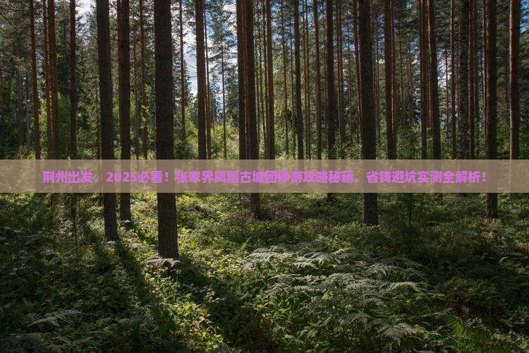 荆州到张家界凤凰古城团体旅游