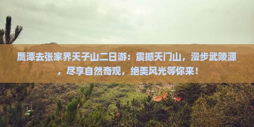 鹰潭去张家界天子山二日游