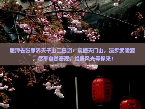 鹰潭去张家界天子山二日游