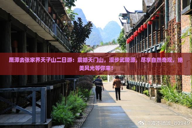鹰潭去张家界天子山二日游