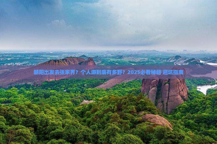 朝阳去张家界森林公园个人游