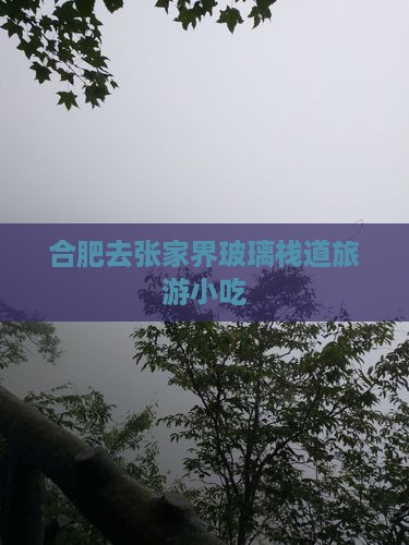 合肥去张家界玻璃栈道旅游小吃