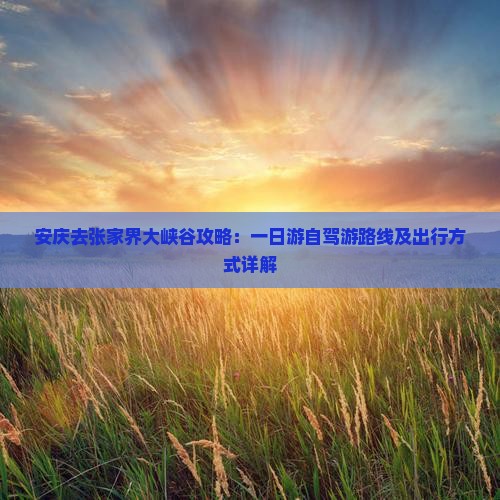 安庆去张家界大峡谷攻略