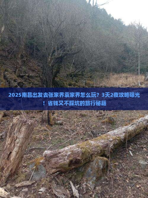 南昌到张家界袁家界攻略
