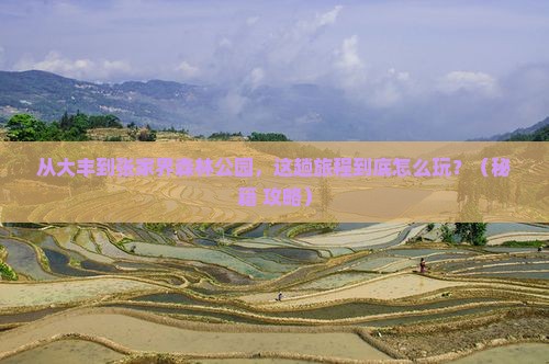 大丰到张家界森林公园哪里玩