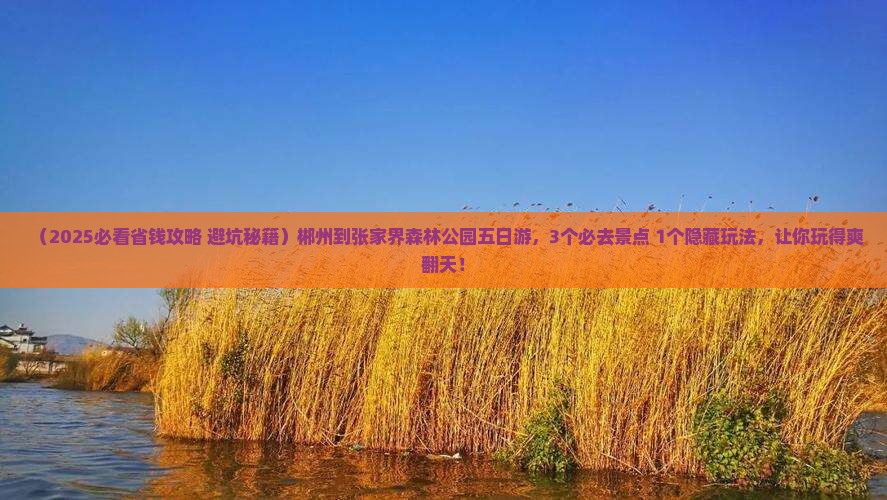 郴州到张家界森林公园五日游