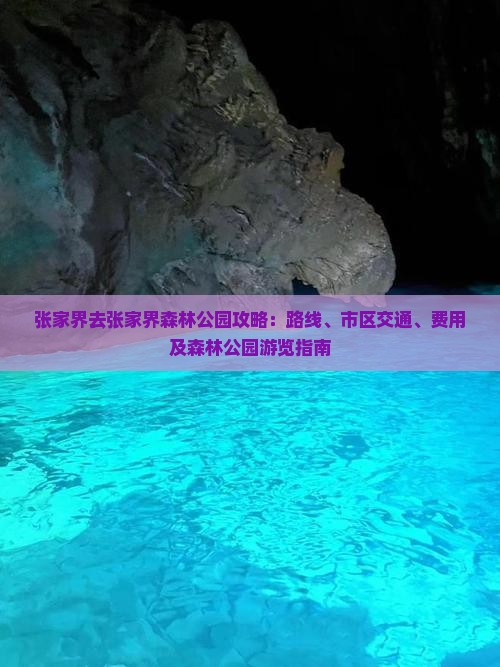 张家界去张家界森林公园攻略