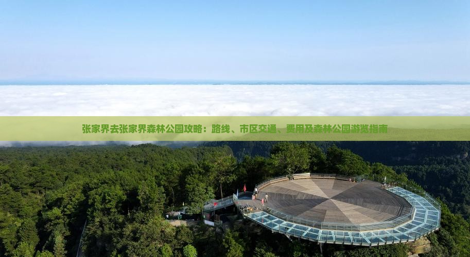 张家界去张家界森林公园攻略