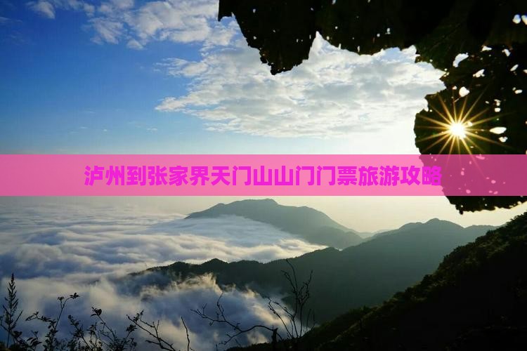 泸州去张家界天门山门票