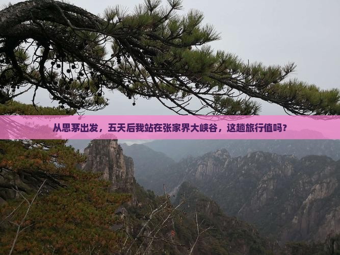 思茅去张家界大峡谷五日游