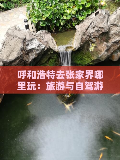 呼和浩特去张家界哪里玩