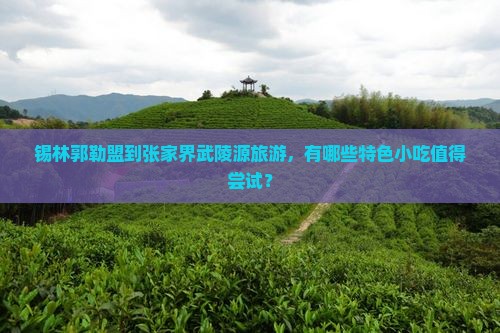 锡林郭勒盟到张家界武陵源旅游小吃