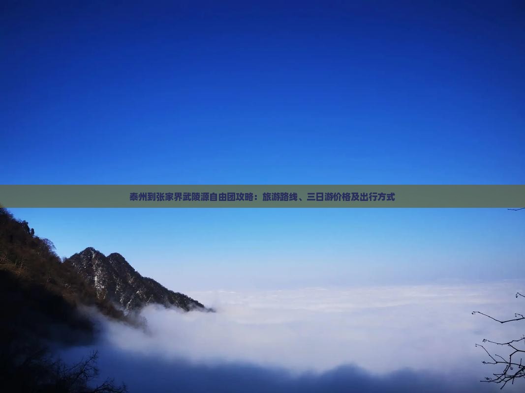 泰州到张家界武陵源自由团