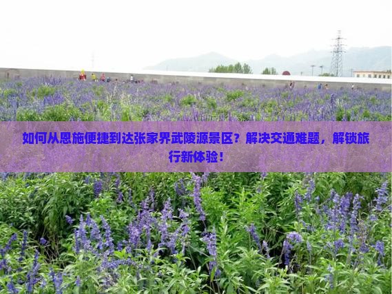 恩施到张家界武陵源景点
