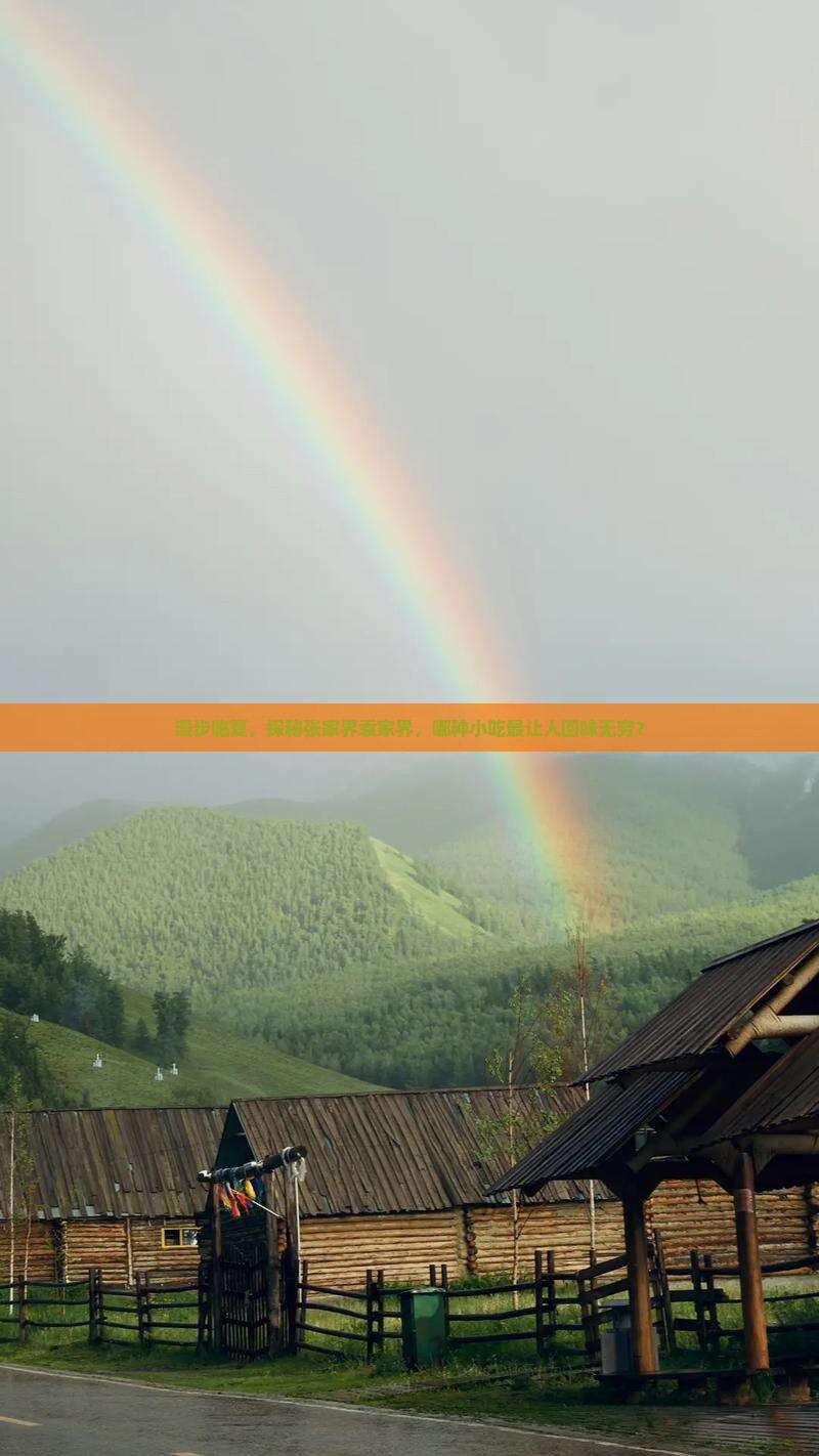 临夏去张家界袁家界旅游小吃