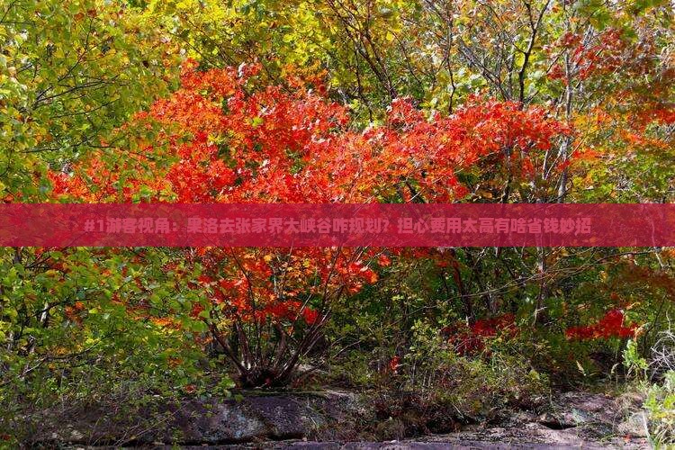 果洛到张家界大峡谷景点
