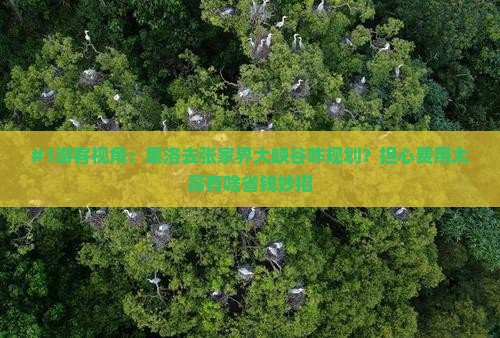 果洛到张家界大峡谷景点