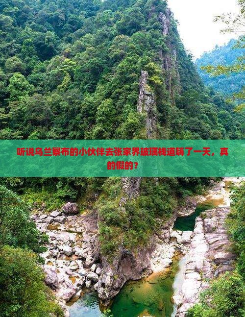 乌兰察布去张家界玻璃栈道一日