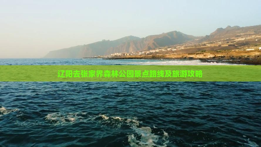 辽阳去张家界森林公园景点