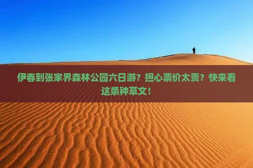 伊春到张家界森林公园六日游