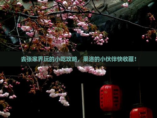 果洛去张家界旅游小吃
