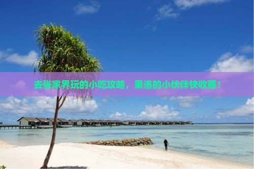 果洛去张家界旅游小吃