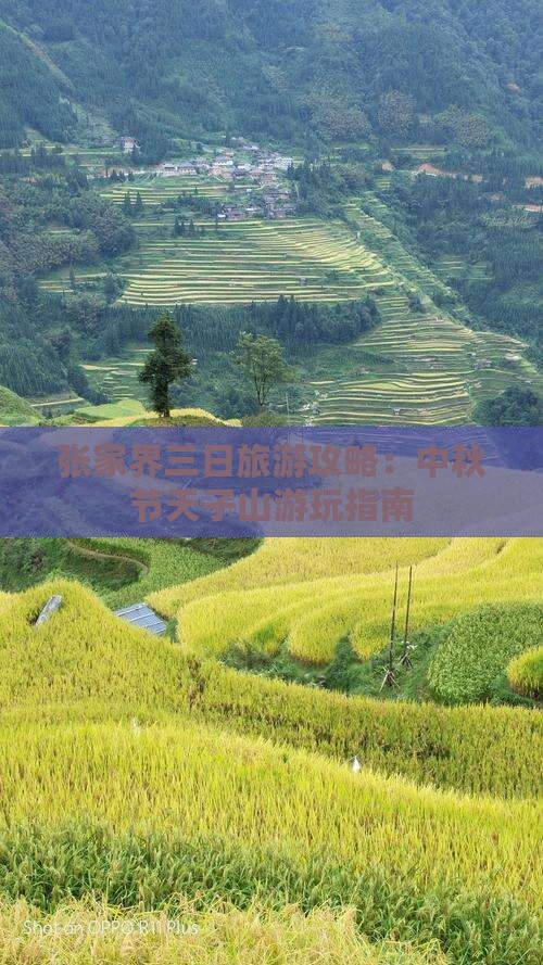 中秋节到张家界天子山三日游