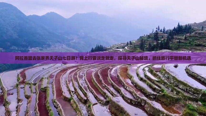 阿拉善盟去张家界天子山七日游