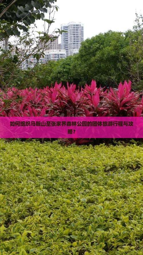 马鞍山去张家界森林公园团体旅游