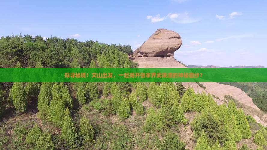 文山到张家界武陵源自由团
