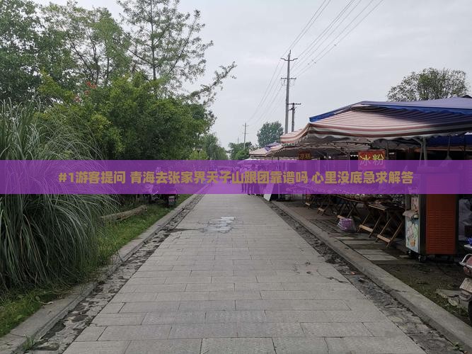 拉萨去张家界天子山旅行社