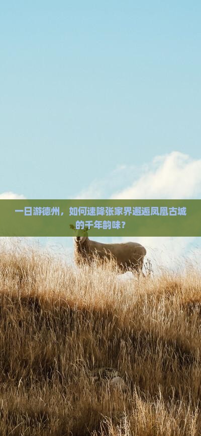 德州到张家界凤凰古城一日