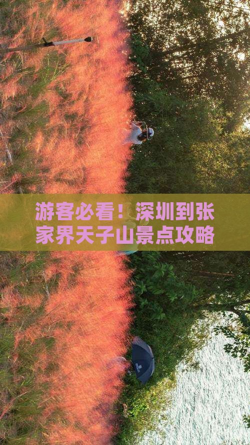深圳到张家界天子山景点