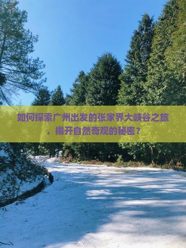广州到张家界大峡谷哪里玩