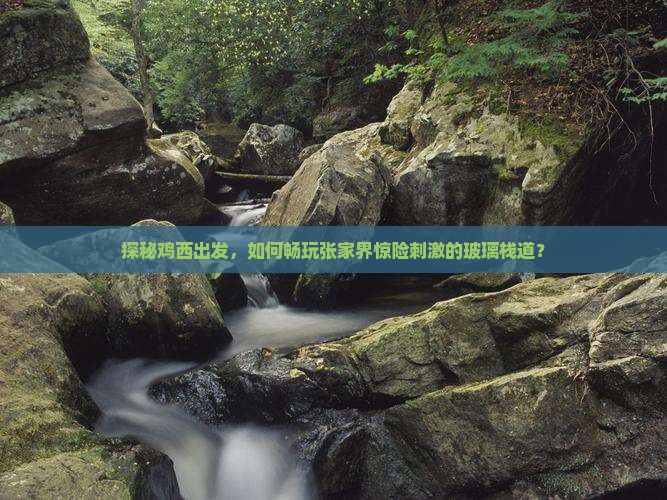鸡西去张家界玻璃栈道攻略