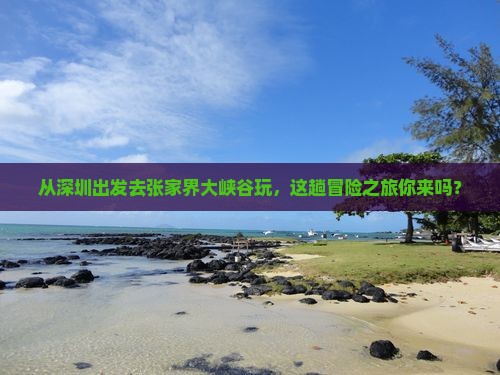 深圳到张家界大峡谷旅游