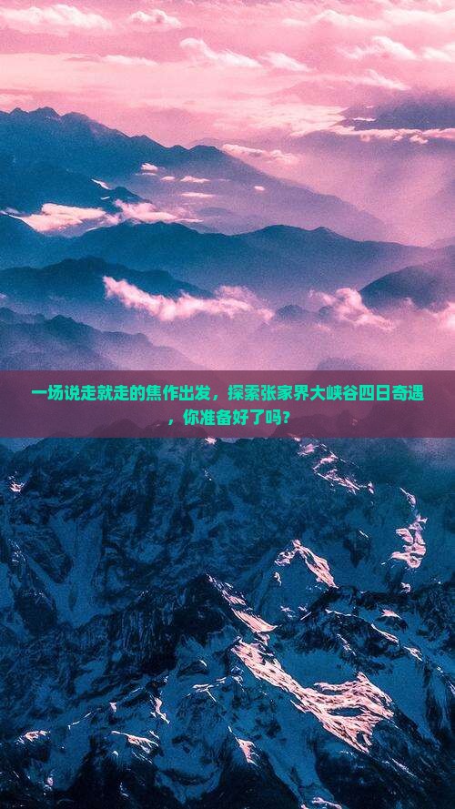 焦作到张家界大峡谷四日游