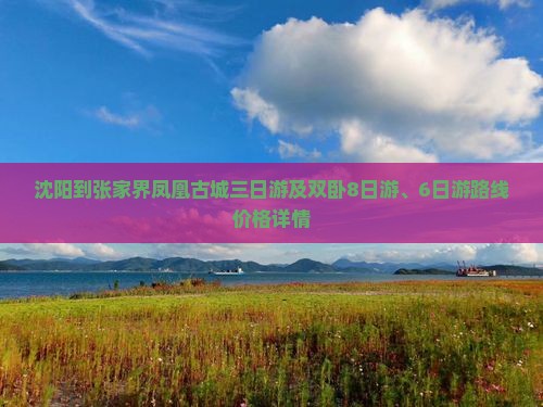 沈阳到张家界凤凰古城三日游