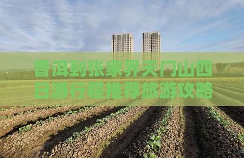 普洱去张家界天门山四日游