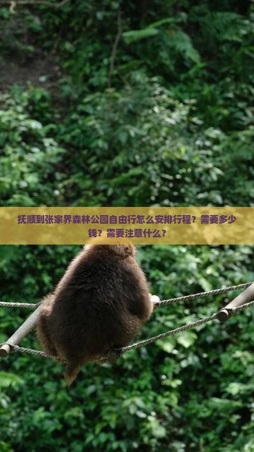 抚顺到张家界森林公园自由行