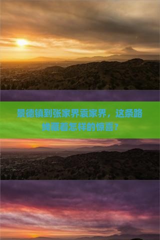 景德镇去张家界袁家界攻略
